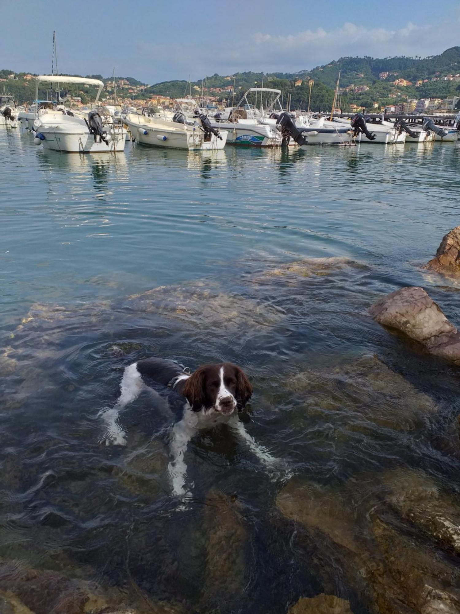 Casa A Nell'antico Borgo Ferienhaus Lerici